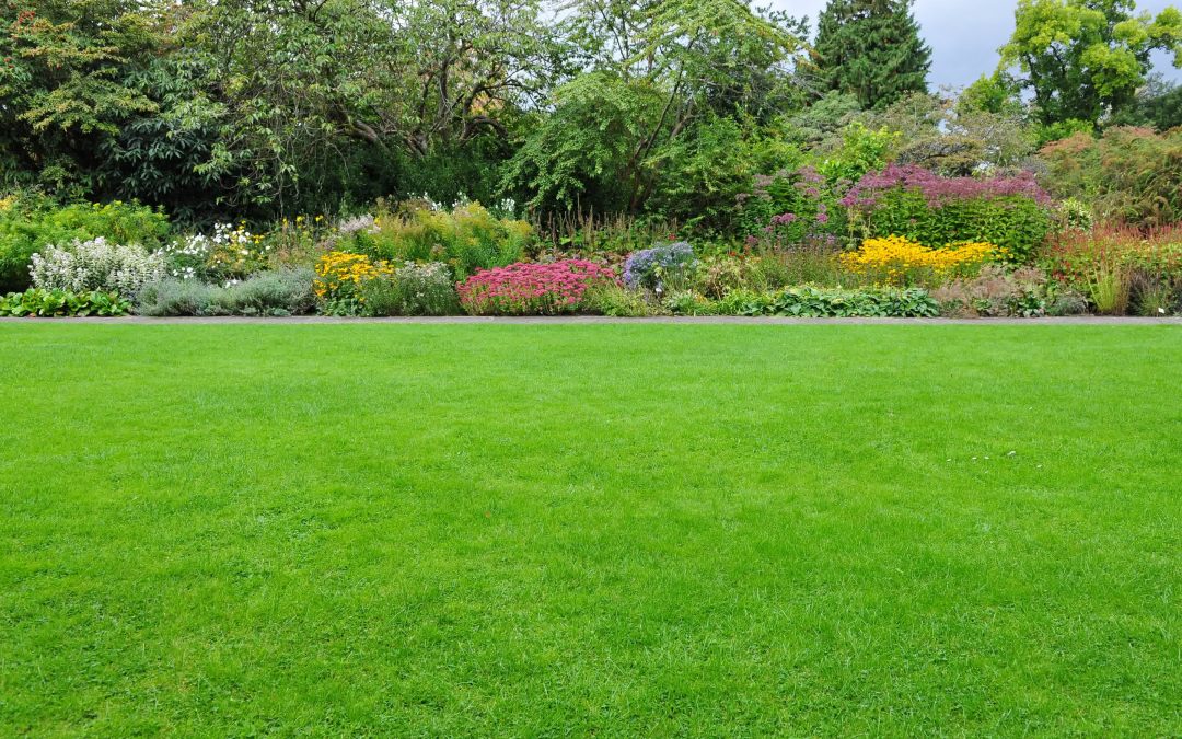 Difference Between Gardening and Landscaping: Key Distinctions Explained