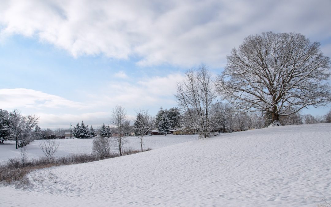 Effective Ways to Remove Snow Without a Plow