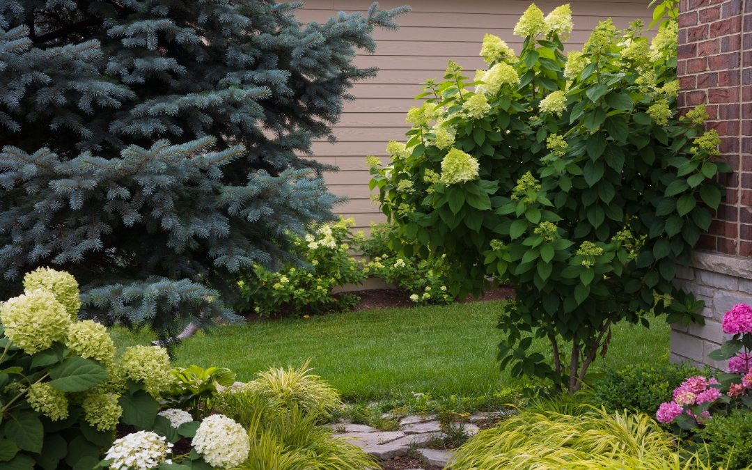 Top Spring Landscaping Ideas to Enhance Your Curb Appeal in 2025