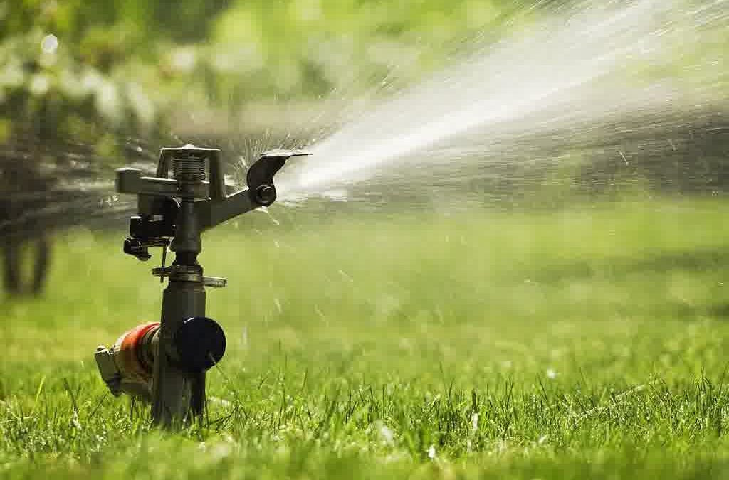 Soaker Hose vs. Drip Irrigation: Which Watering System Is Best for Your Garden?