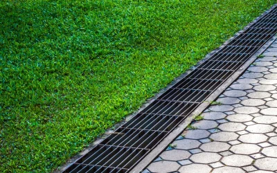 Drainage Solutions to Keep Your Plants Protected After Heavy Rain