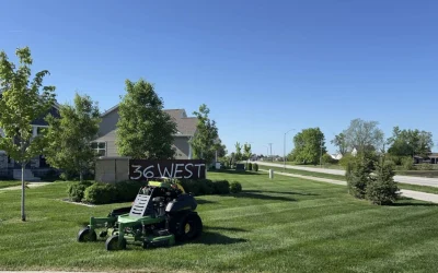 How to Handle Lawn Maintenance During a Summer Drought in Iowa