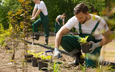 Strategic Landscaping Updates for Better Yard Flow